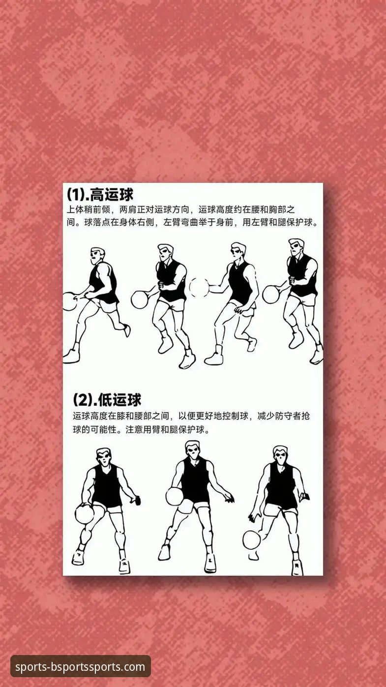 b体育体验如何推荐 B体育平台使用教程:从新手到高手的完整操作指南